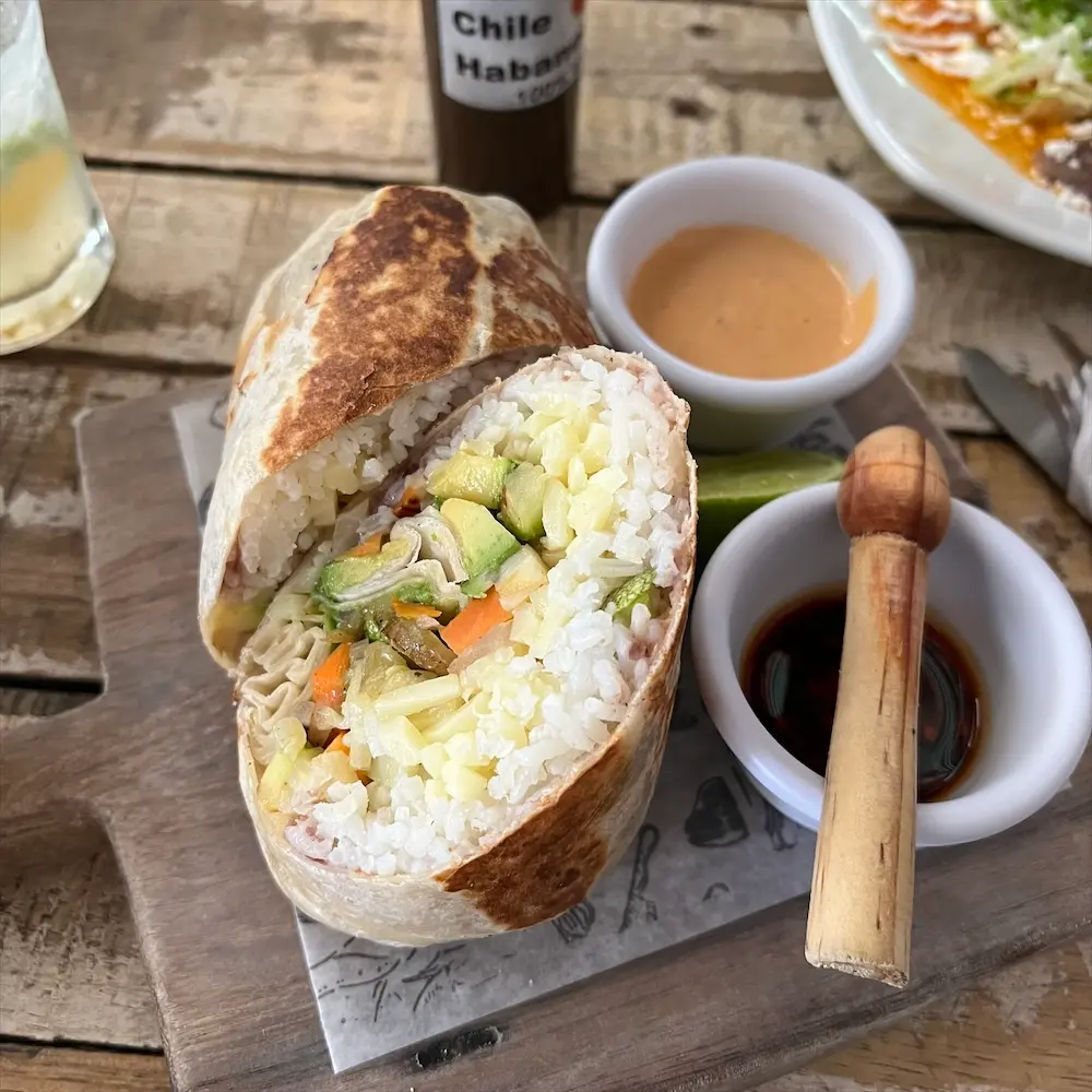 Vegetarian Burrito