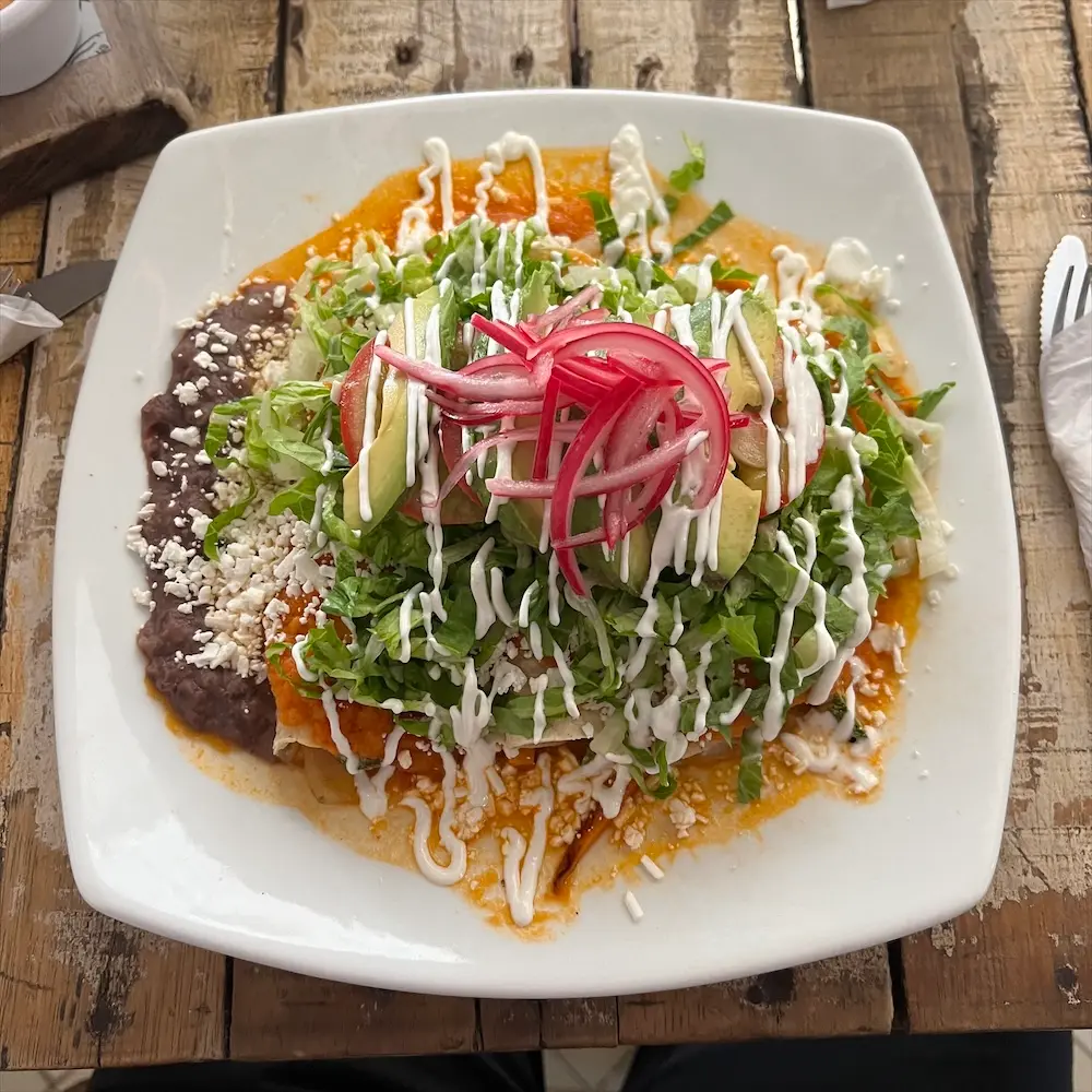 Vegetarian Enchilada